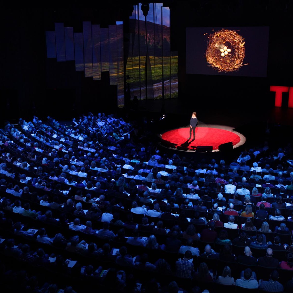 Ted Talk for Marketing