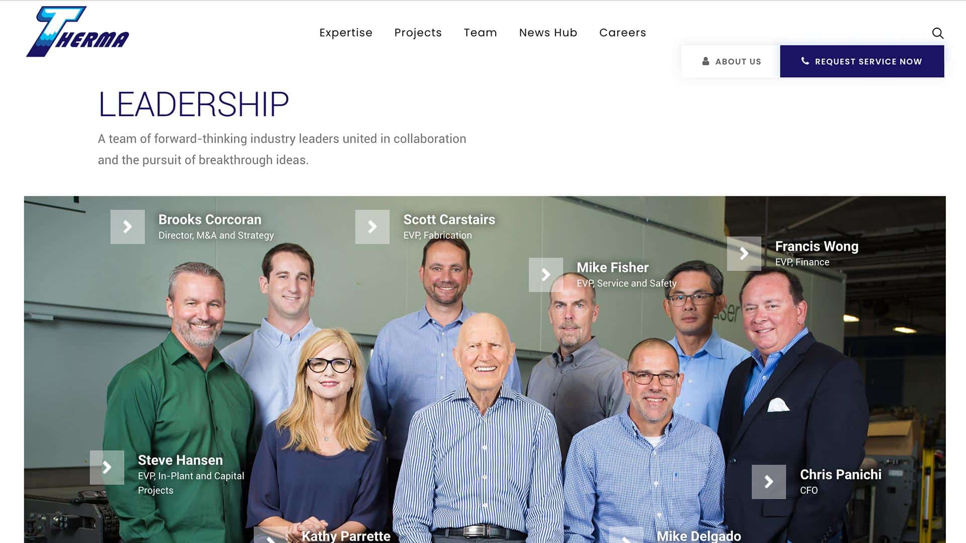 Client website page