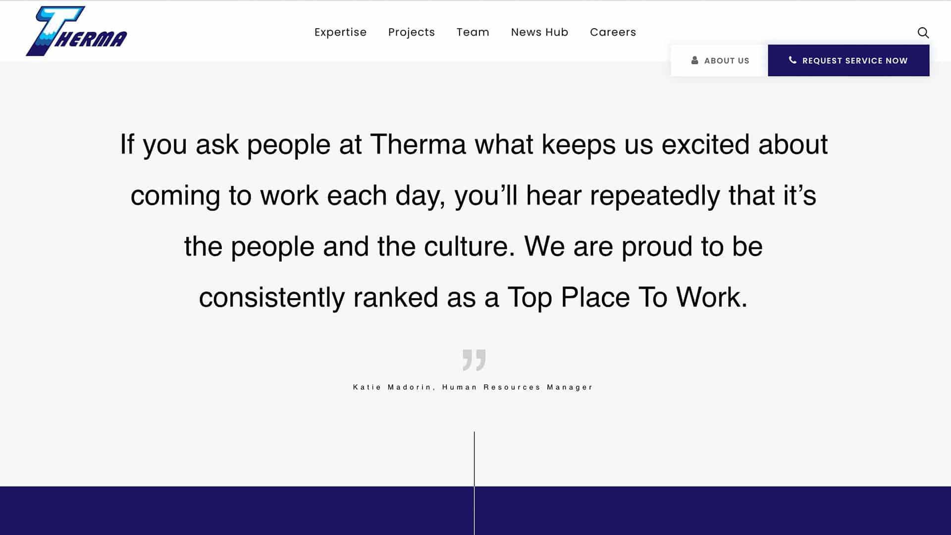 Client website page