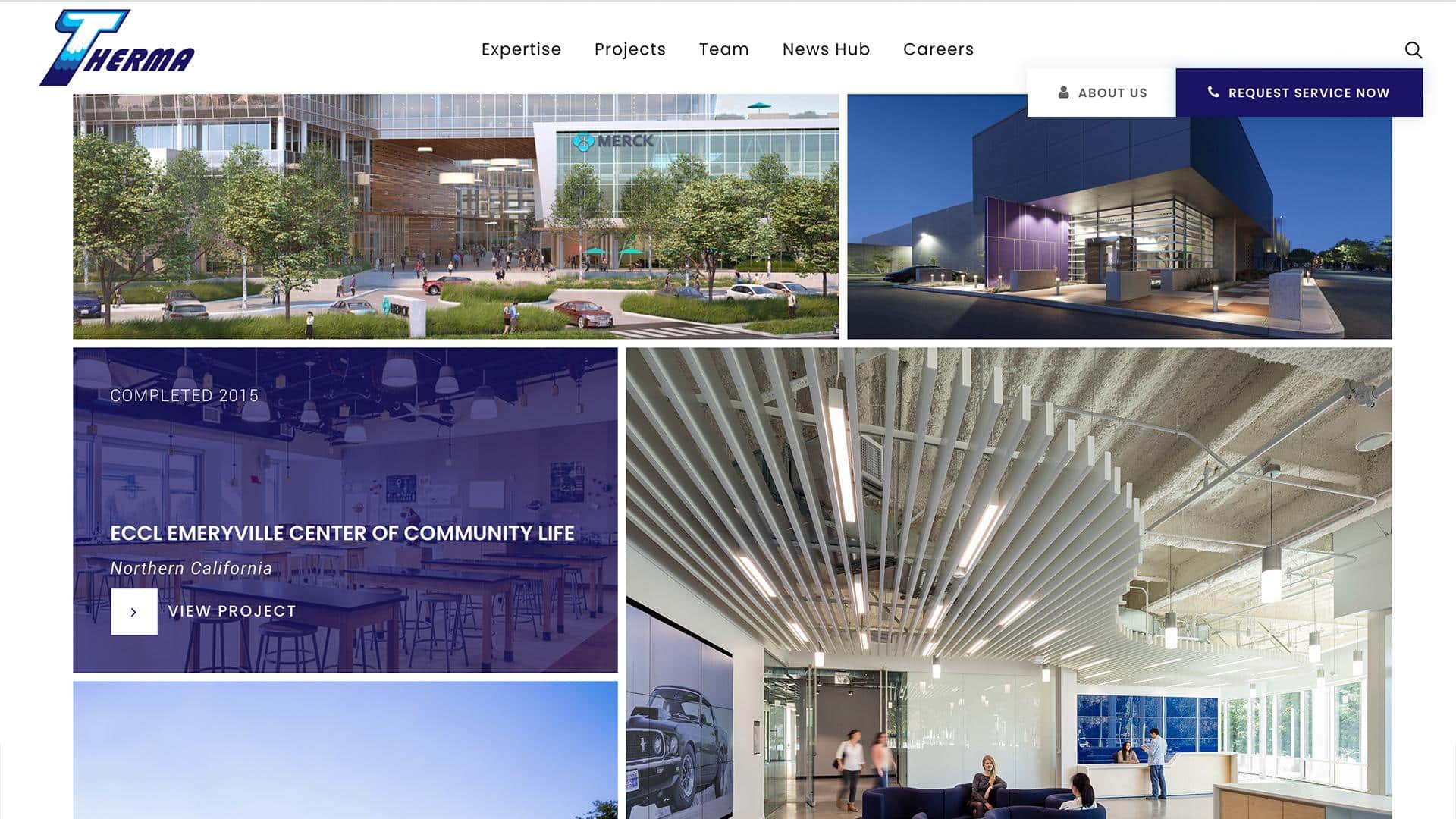 Client website page
