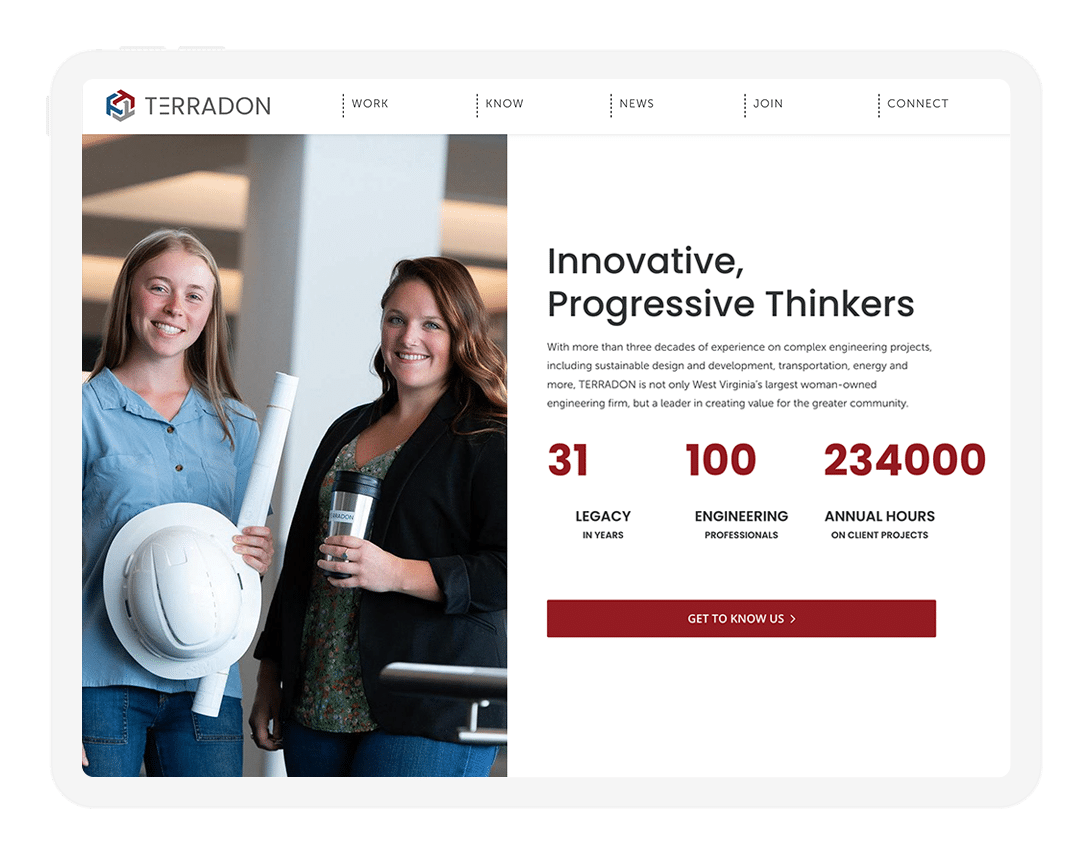 Terradon Website Design